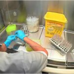 Suspendieron a dos laboratorios tras el brote de fentanilo contaminado en La Plata y Rosario