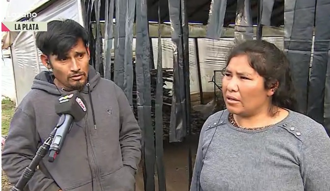 Hablaron los dueños de los perros que mataron al nene de 2 años en Arturo Seguí: “Ladraban pero no mordían”