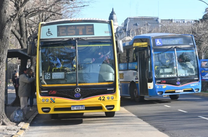 Licitación del transporte: los nombres que se piensan para las nuevas líneas de micros de La Plata