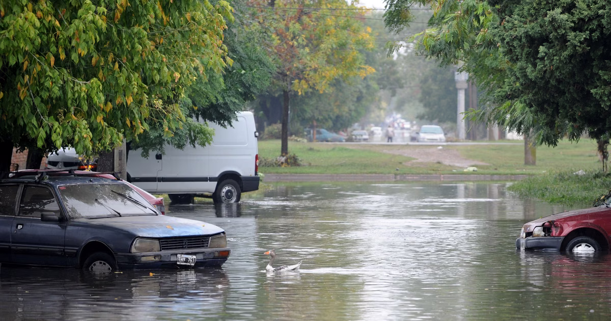La Plata y la región definieron las claves para prevenir y actuar ante los riesgos que genere El Niño