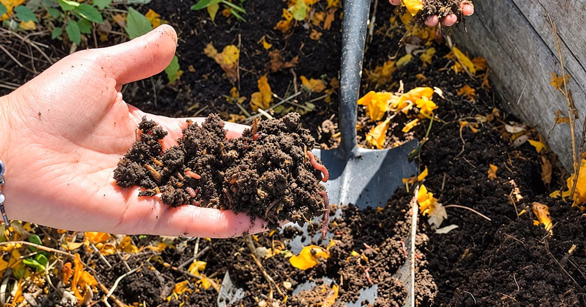 La recuperación de residuos orgánicos en dependencias municipales ya produjo más de una tonelada de compost
