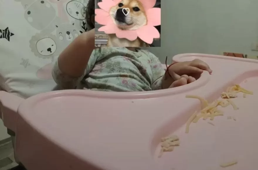 Una familia pide ayuda para recuperar la sillita de comer de su bebé