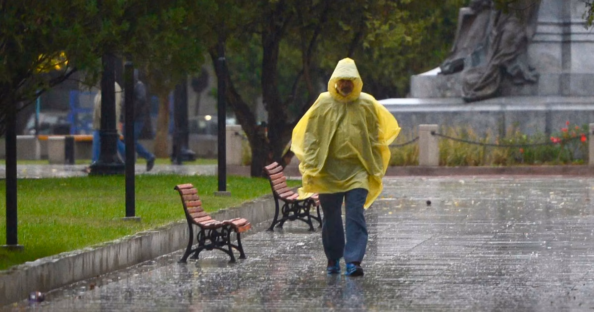 Barrio por barrio de La Plata: en las zonas más afectadas cayeron hasta 27 milímetros de lluvia